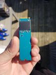 250 gb m.2