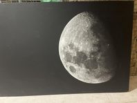 Canvas tavla