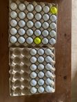 48 st PRO v1/x | A klass