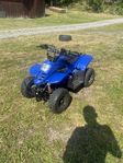 fyrhjuling 90cc