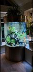 Akvarium 800l