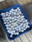 golfbollar 
