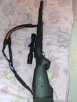 Tikka T3 308
