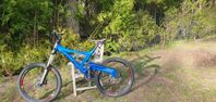 CAiAL Downhill 