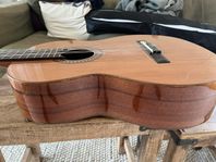 Gitarr, Salvador Cortez mod cc22