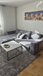 Sweef björnen divan bäddsoffa