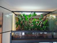 Exoterra 90×45×60