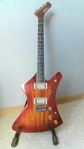 Washburn A20