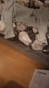 mint grön lång tröja