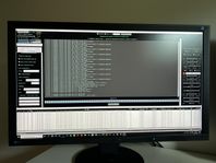 Datorskärm 27 och 30”