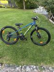 Mountainbike 24 tum