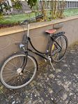 Pashley Princess Sovereign
