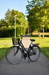 Sjösala 3 Växel Damcykel