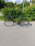 Cykel 