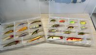 Fiske mellanstora drag