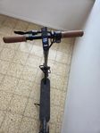 elscooter 
