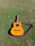 Gitarr Cort AC50