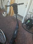 el scooter 