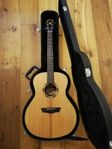 Washburn akustisk wood series