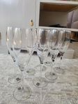 Sia Alba Champagneglas 8 st