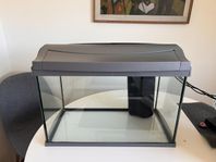 akvarium 