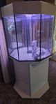 Åttakantigt akvarium, 200L +