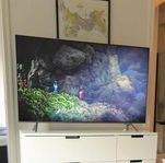 Samsung QLED 4k Smart TV 55 tum