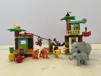 LEGO DUPLO - Tropisk Ö - Många djur att leka med - 10906