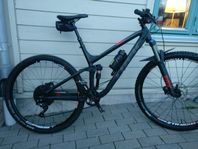 Trek Fuel EX 8 29