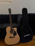 Akustisk Gitarr