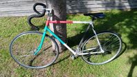Universitetsracer