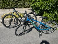 Mountainbikes 