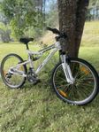 Yosemite X-Country 24”