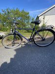 herrcykel