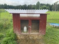 kaninbur