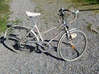 Mustang mixte 6vxl