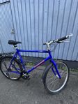 her cykel