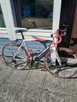 Racer Battaglin C11 carbon 56