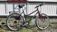 DBS Kiliminjaro Damcykel