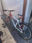 Mountinbike