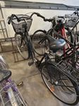 Damcykel, Kungs