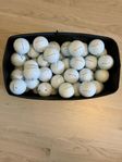20st Prov1 2023