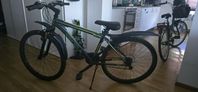 Mountainbike 