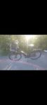 Batavus Harlem e-go