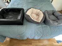 Hundbäddar för valp/liten hund