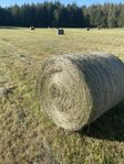 Hösilage 2025