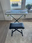 Casio LK-280 keyboard med fällbart stativ och pall