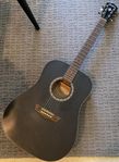 Washburn Akustisk Gitarr