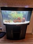 Juwel vision 180l 