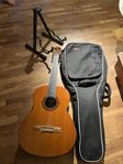 nybörjargitarr, fodral och ställ